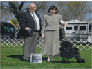 Jasenak Rock-N-Roll(Jack) First place in open class! Winer dog and Reserve Winner!
 under Judge Mr. Robert H. Gregory